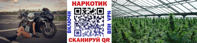 Купить закладку Гусь-Хрустальный Амфетамин МЕФ ГАШИШ