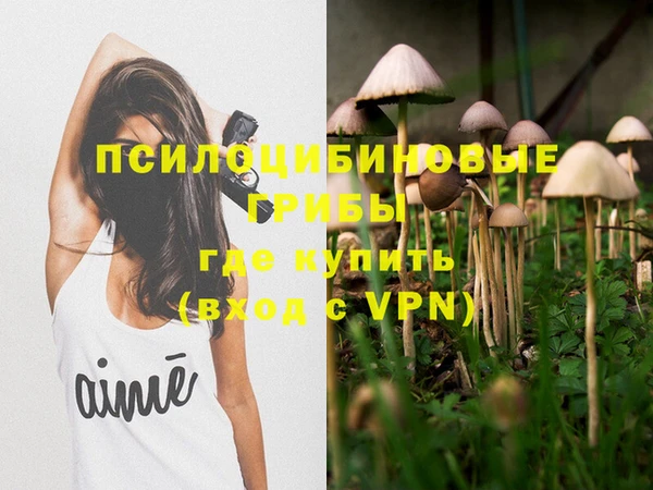 apvp Саяногорск