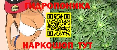 мяу мяу мука Бийск