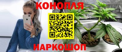 мяу мяу мука Бийск