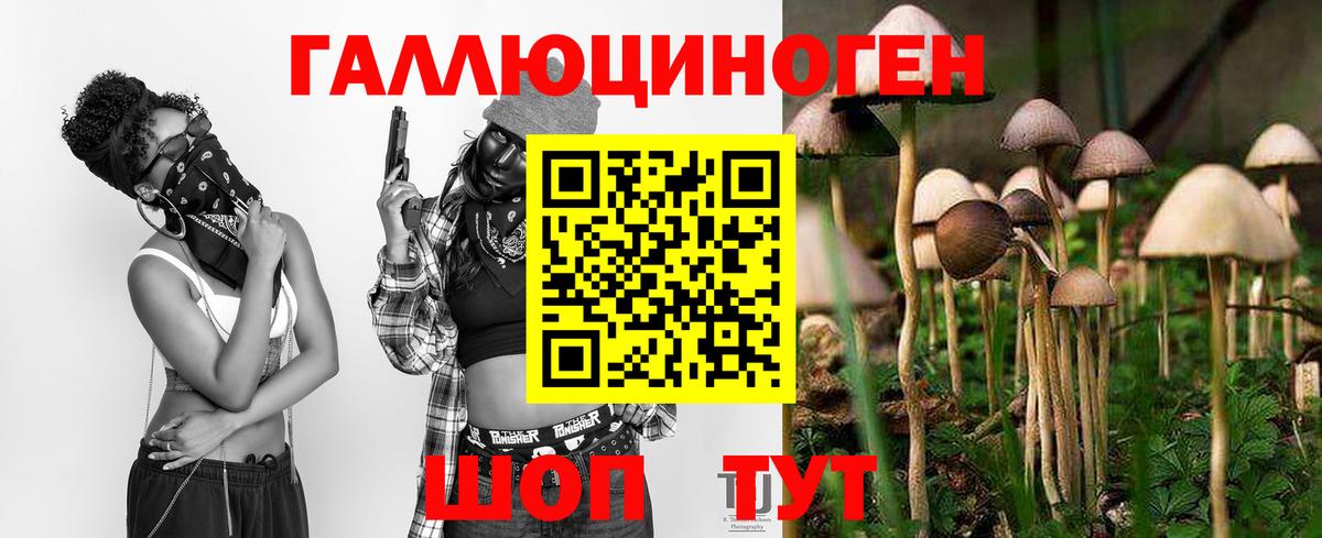 как найти закладки  Вход с VPN  Галлюциногенные грибы ЛСД  Гусь-Хрустальный  Галлюциногенные грибы Psilocybe 
