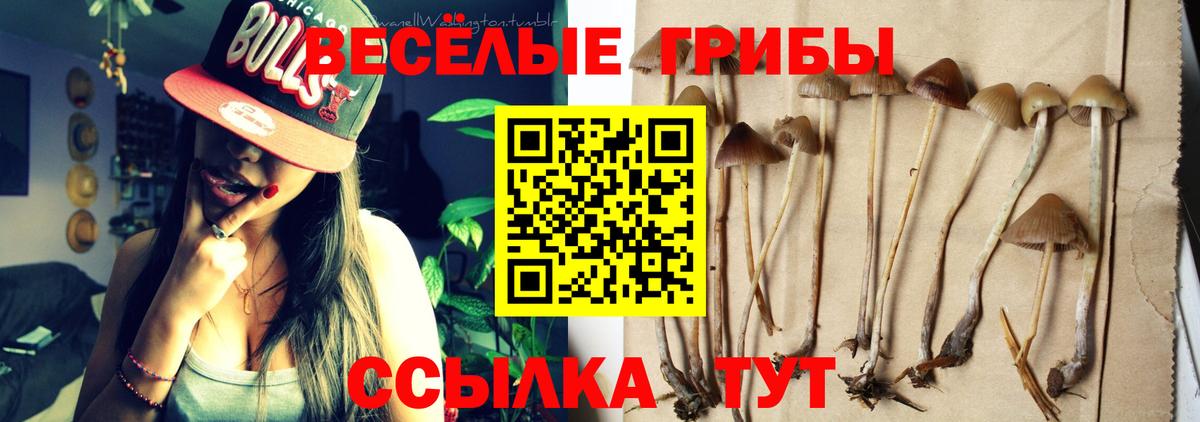 Псилоцибиновые грибы MAGIC MUSHROOMS Гусь-Хрустальный