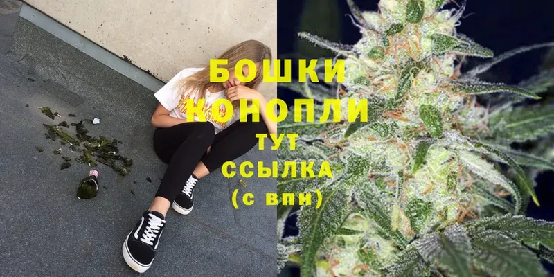 Бошки марихуана White Widow  Гусь-Хрустальный 